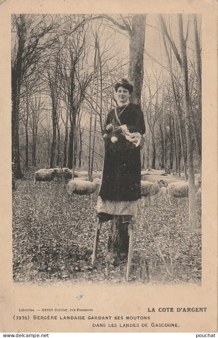 DE 22 -(40) BERGERE LANDAISE GARDANT SES MOUTONS DANS LES LANDES DE GASCOGNE - ECHASSES-   2 SCANS - Elevage