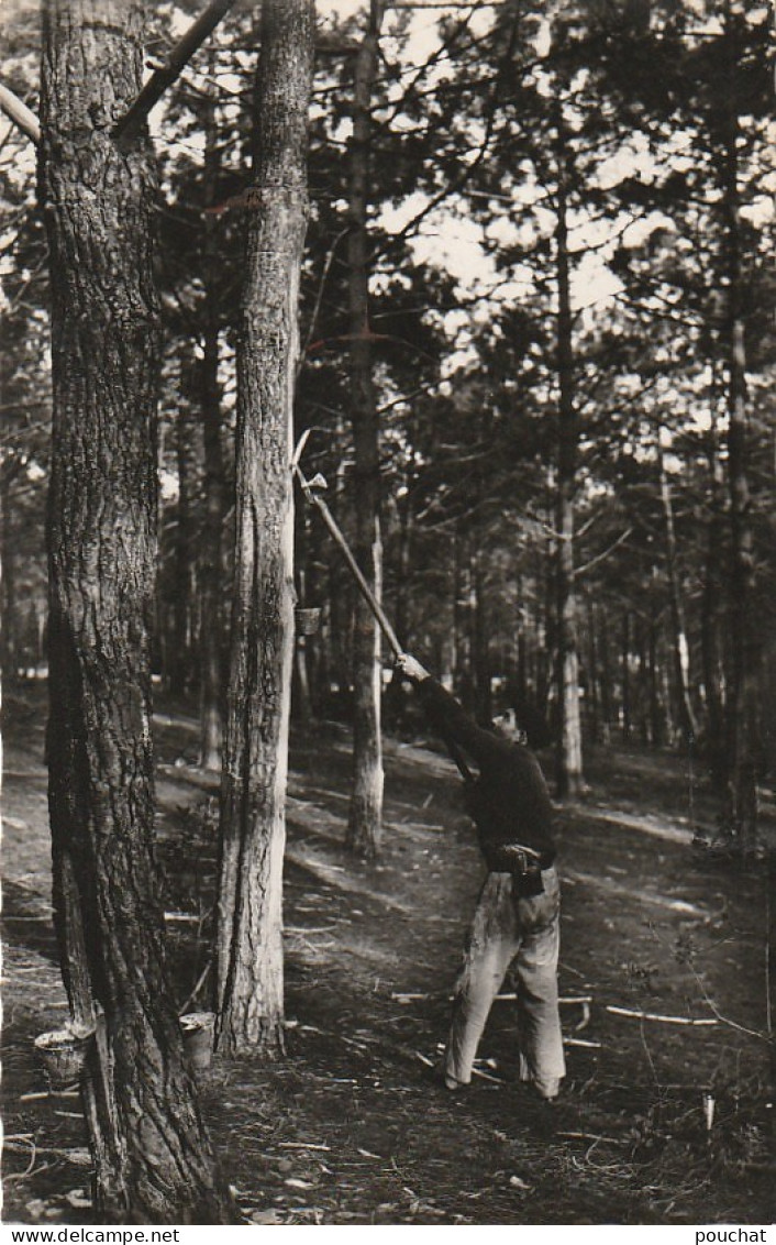 DE 22 -(40) MIMIZAN PLAGE  -  LE GEMMEUR  -   2 SCANS - Landwirtschaftl. Anbau