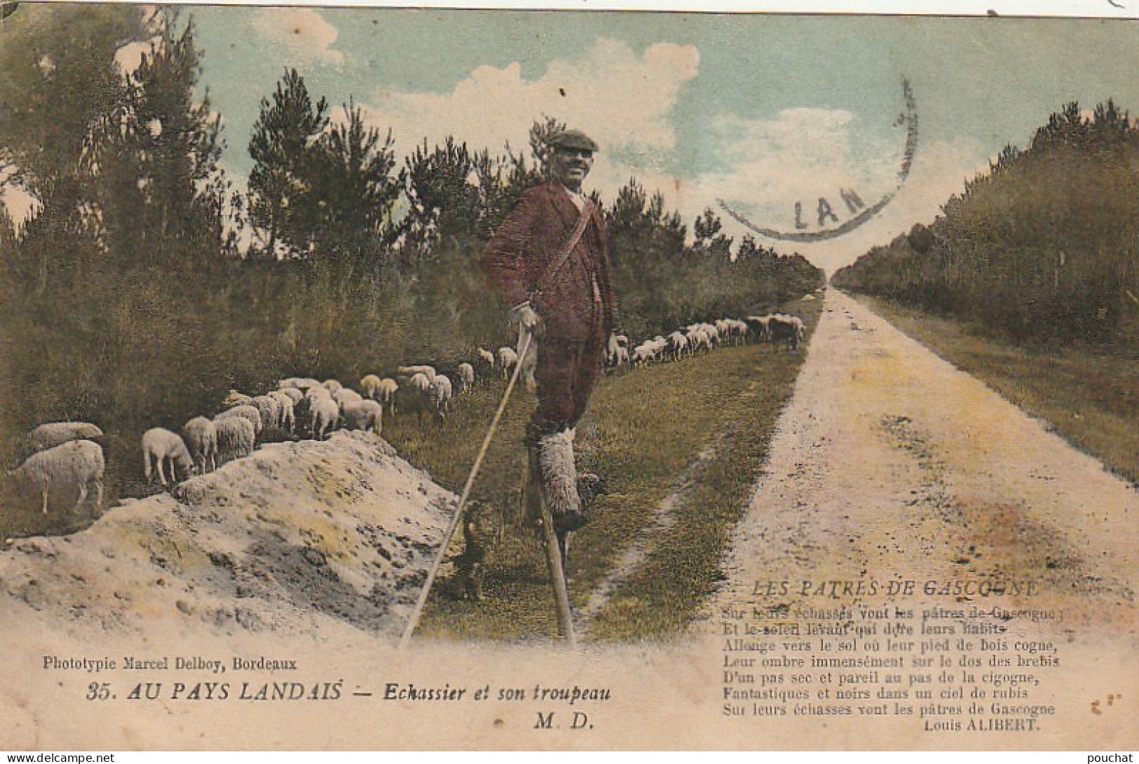 DE 23 -(40) AU PAYS LANDAIS  -  ECHASSIER ET SON TROUPEAU   - CARTE COLORISEE   - 2 SCANS - Veeteelt