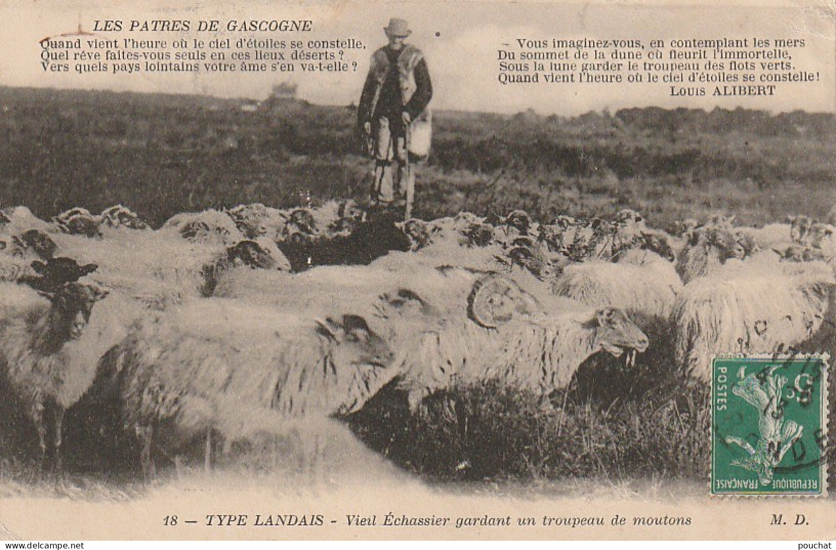 DE 23 -(40) TYPE LANDAIS - " LES PATRES DE GASCOGNE "  - VIEIL  ECHASSIER GARDANT UN TROUPEAU DE MOUTONS - 2 SCANS - Veeteelt