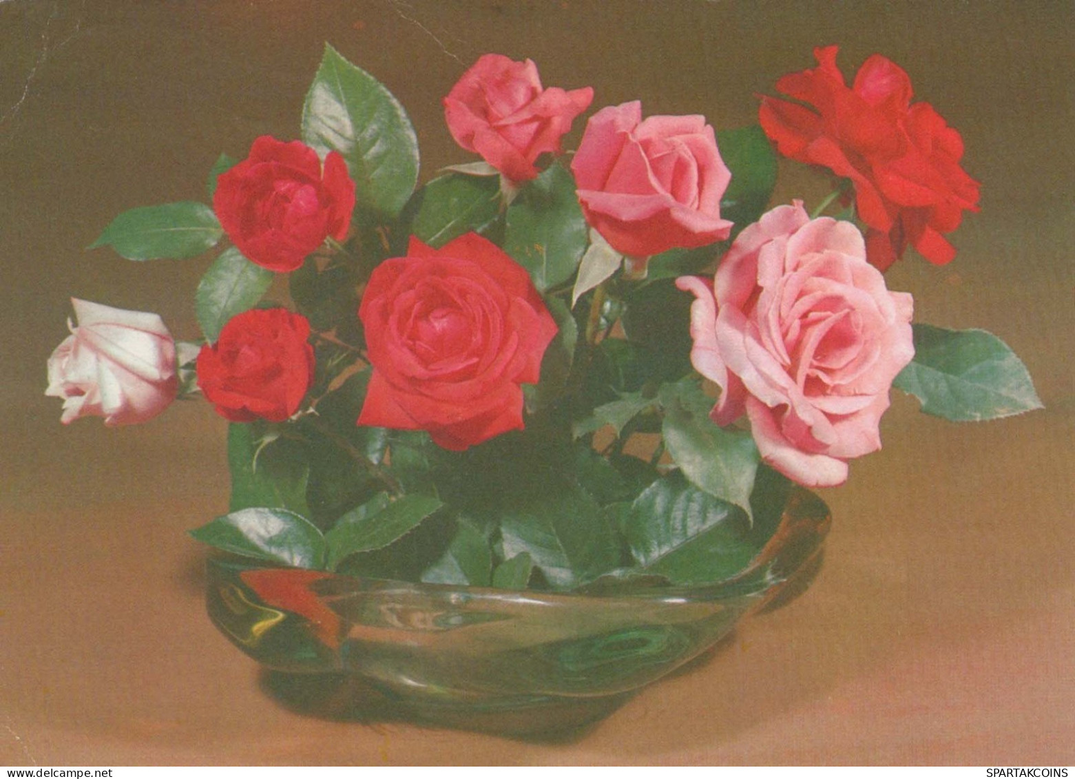 FLOWERS Vintage Postcard CPSM #PAR426.GB - Blumen