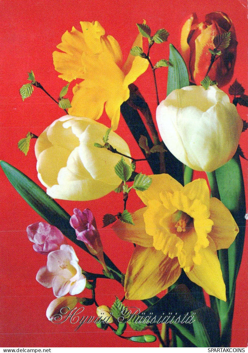 FLOWERS Vintage Postcard CPSM #PAR064.GB - Flowers