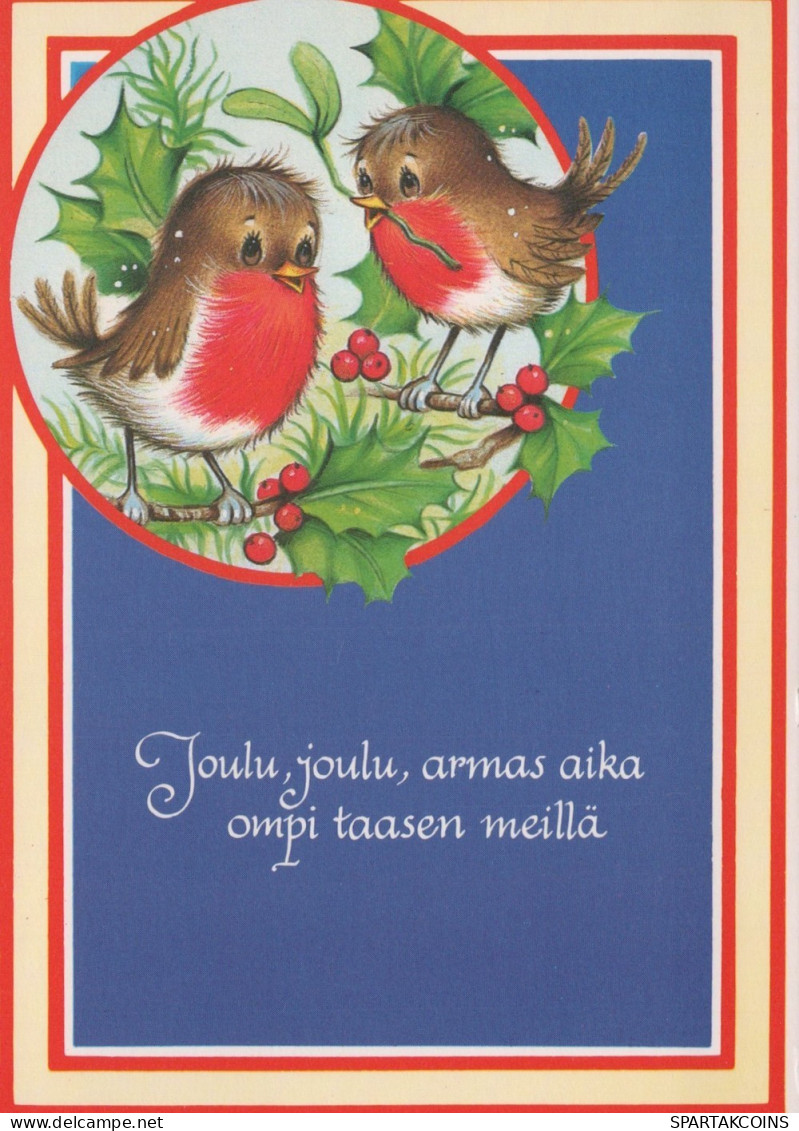 BIRD Animals Vintage Postcard CPSM Unposted #PAM919.GB - Pájaros