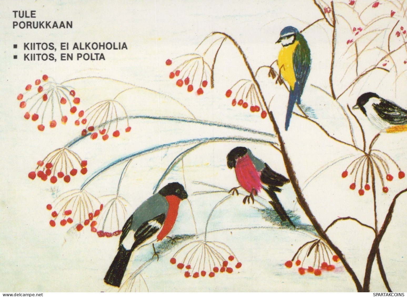 BIRD Animals Vintage Postcard CPSM #PAN229.GB - Pájaros