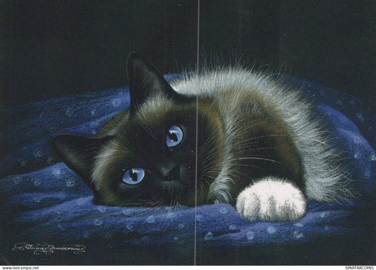 CAT KITTY Animals Vintage Postcard CPSM #PAM415.GB - Gatos