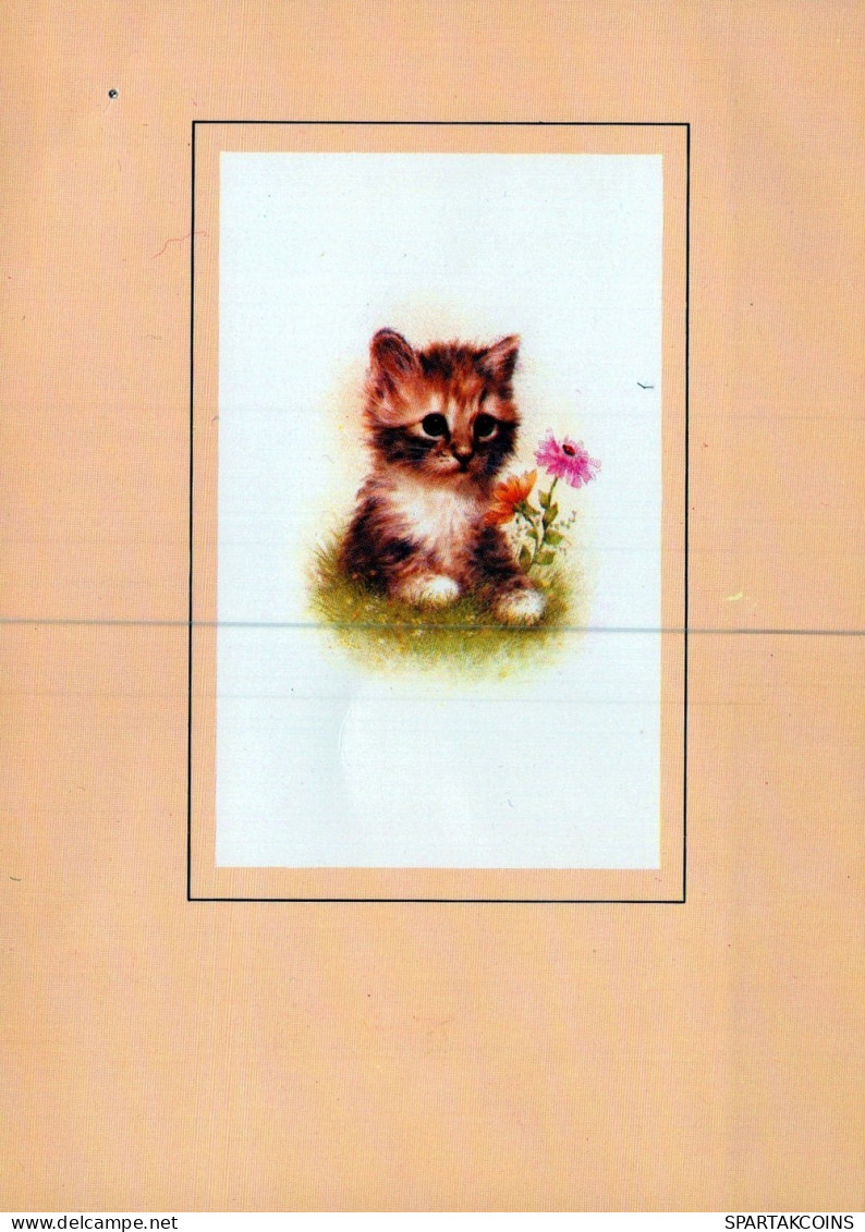 CAT KITTY Animals Vintage Postcard CPSM #PAM228.GB - Gatos