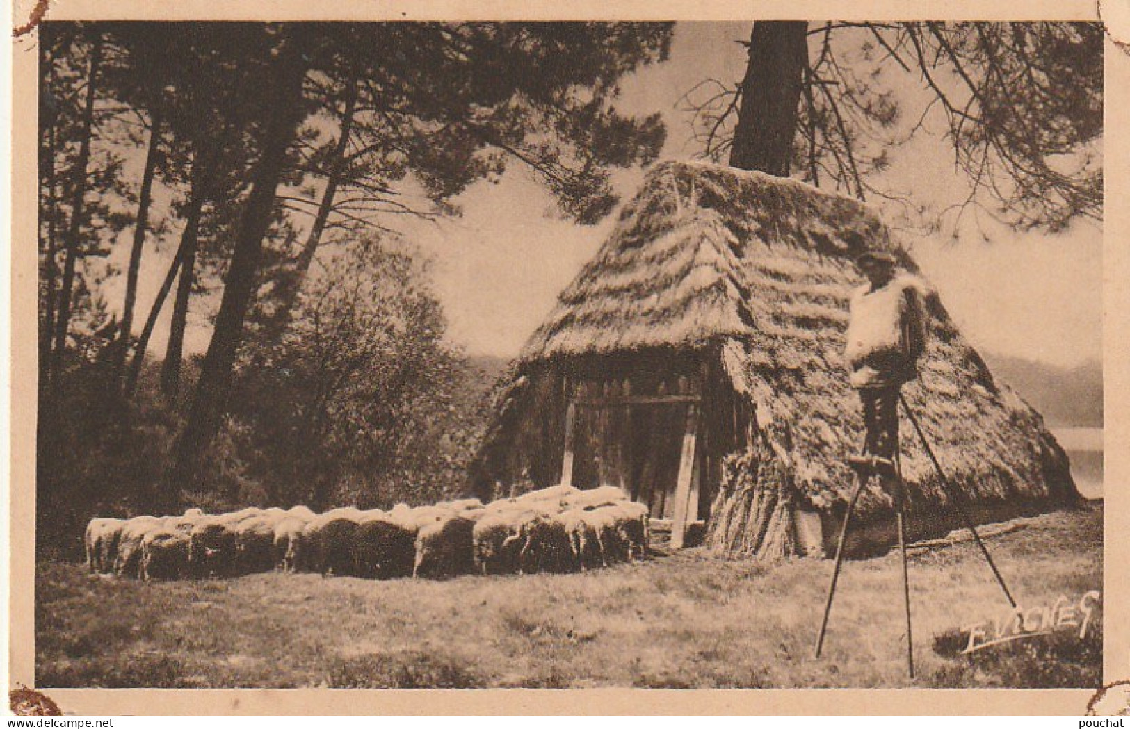 DE 23 -(40) PAYSAGES LANDAIS -   BERGER LANDAIS -  RETROSPECTIVE - 2 SCANS - Viehzucht