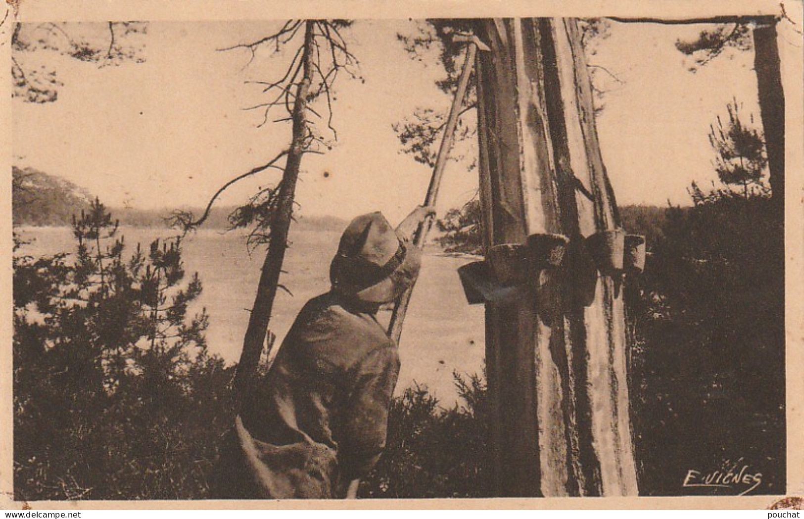 DE 23 -(40)  PAYSAGES LANDAIS -   GEMMEUR  FAISANT L' ENTAILLE    - 2 SCANS - Landwirtschaftl. Anbau