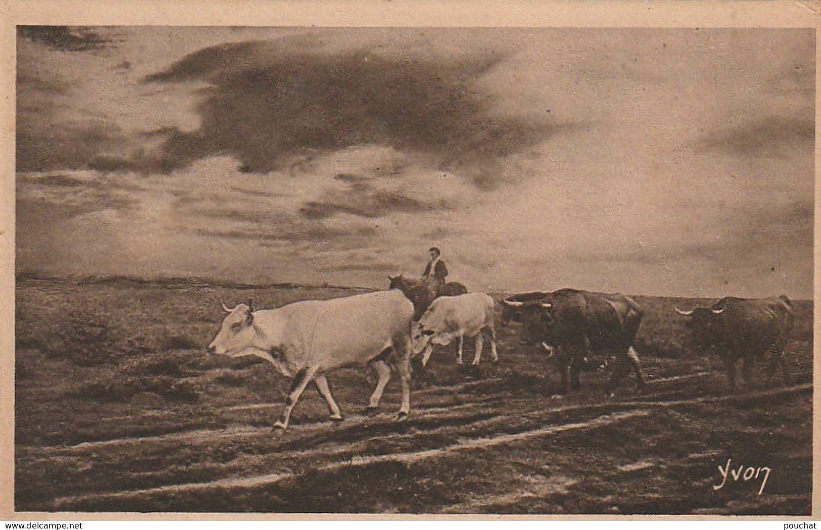 DE 23 -(40) LES LANDES DE GASCOGNE - EN RASE LANDE - LE RETOUR - TROUPEAU DE VACHES  - 2 SCANS - Veeteelt