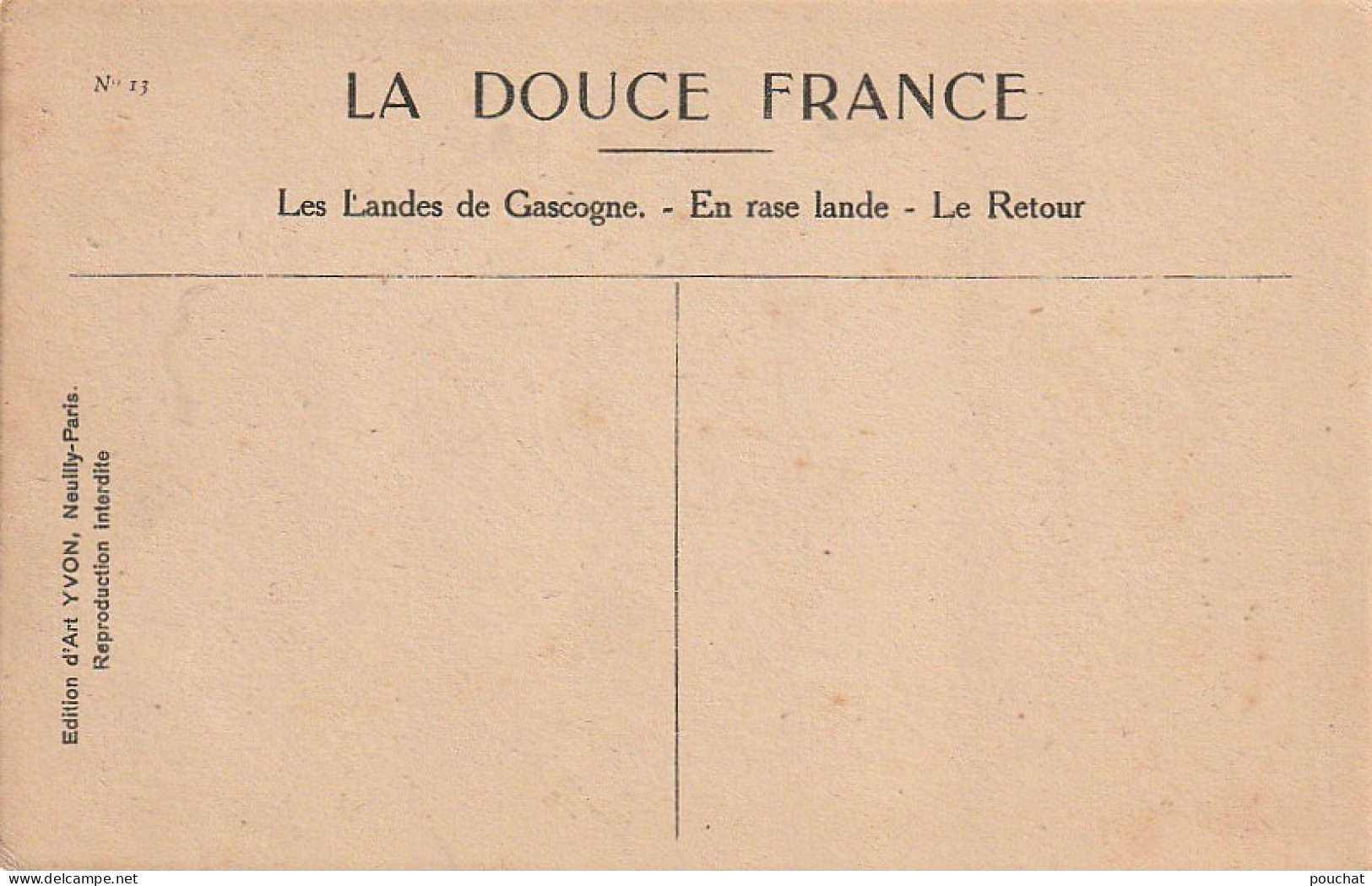 DE 23 -(40) LES LANDES DE GASCOGNE - EN RASE LANDE - LE RETOUR - TROUPEAU DE VACHES  - 2 SCANS - Veeteelt