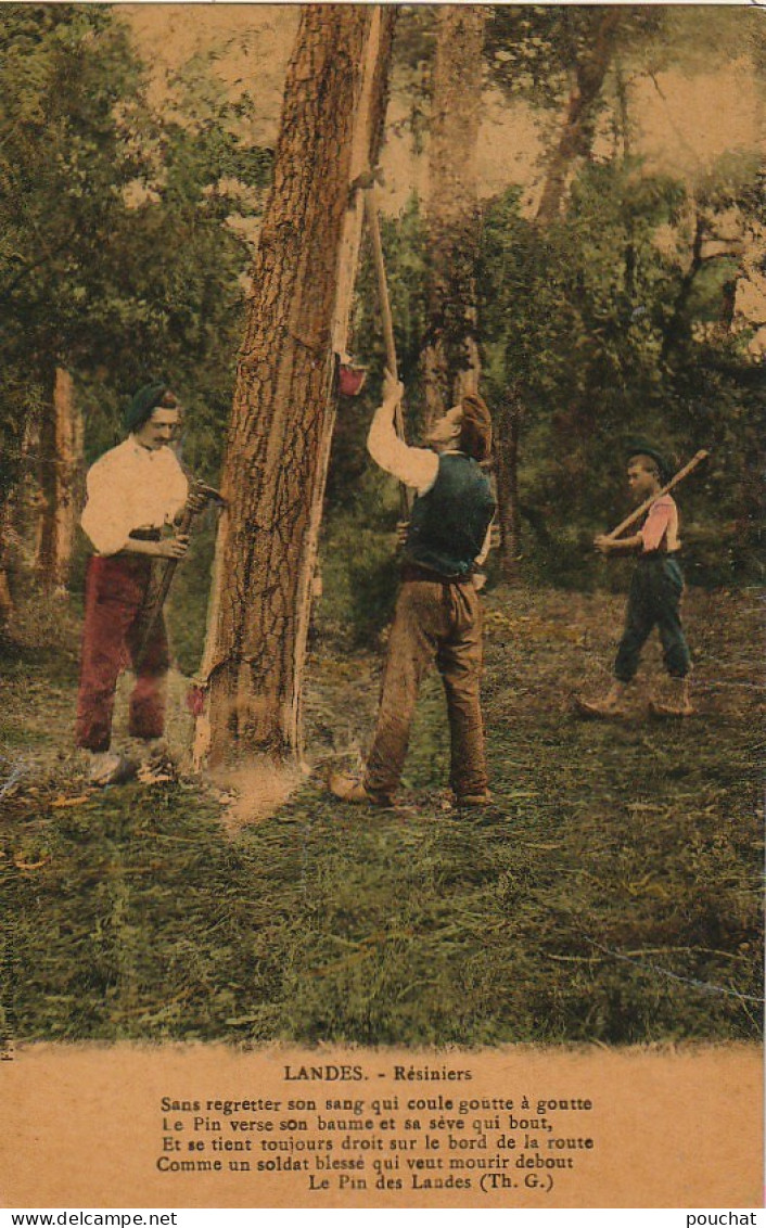 DE 23 -(40) LANDES - RESINIERS  - CARTE COLORISEE GLACEE   - 2 SCANS - Cultures