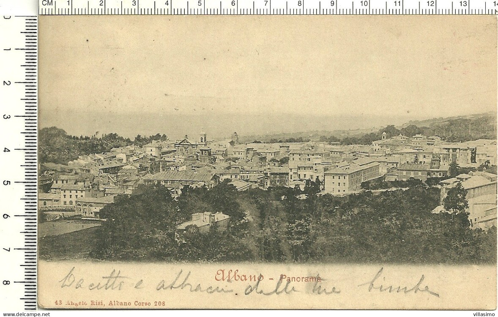 ROMA - ALBANO, PANORAMA - VG. 1903 - Viste Panoramiche, Panorama