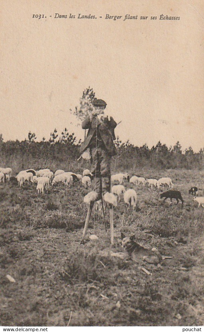 DE 24  -(40) DANS LES LANDES -  BERGER FILANT SUR SES ECHASSES -  TROUPEAU DE MOUTONS  ET CHIEN  -  2 SCANS - Viehzucht