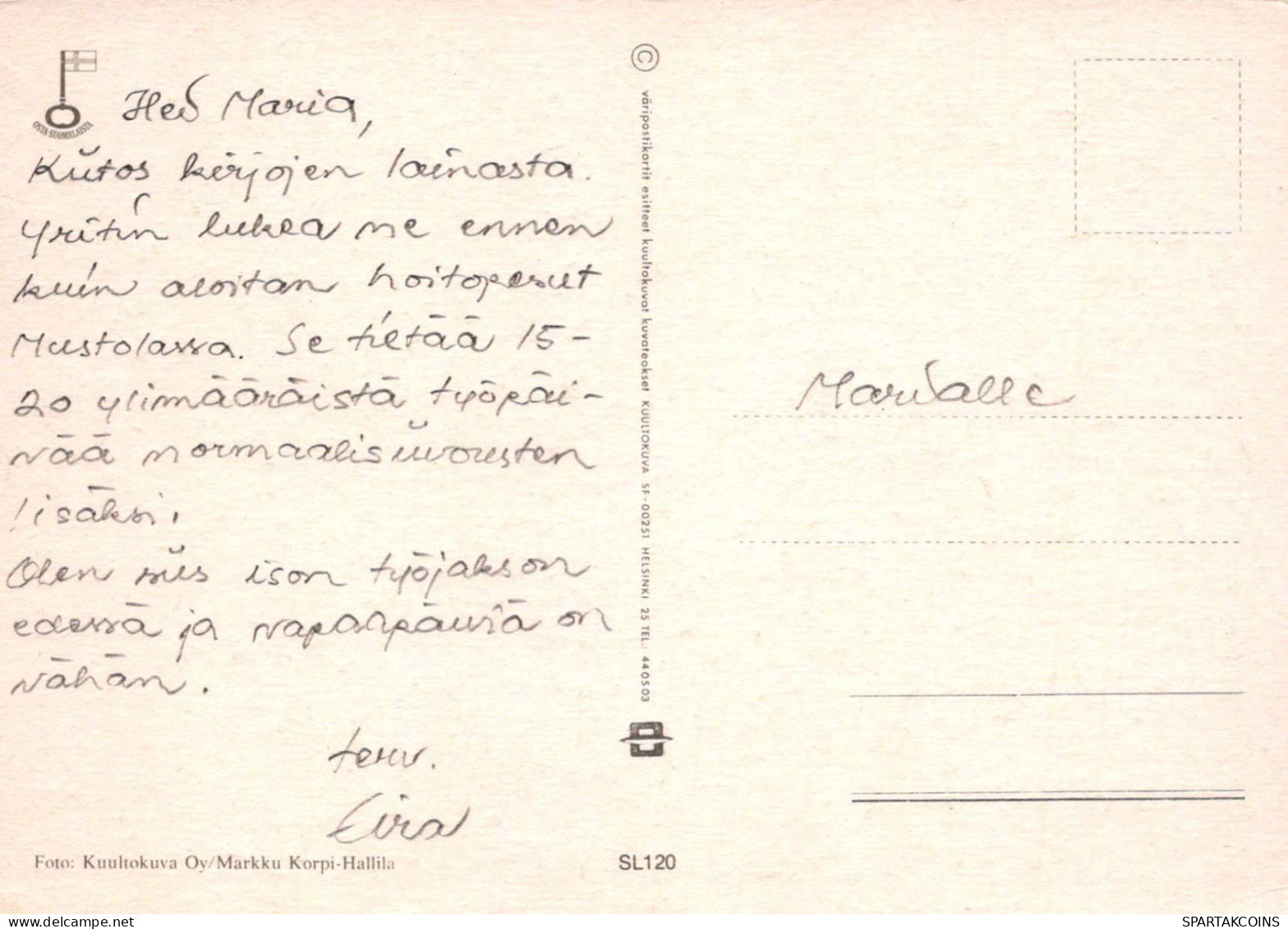 FLORES Vintage Tarjeta Postal CPSM #PAS631.ES - Flowers