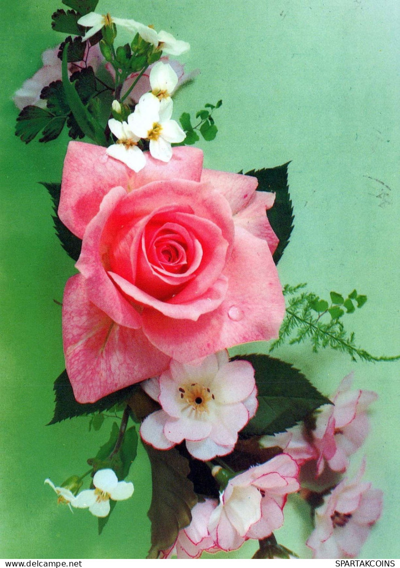 FLORES Vintage Tarjeta Postal CPSM #PAS208.ES - Flowers