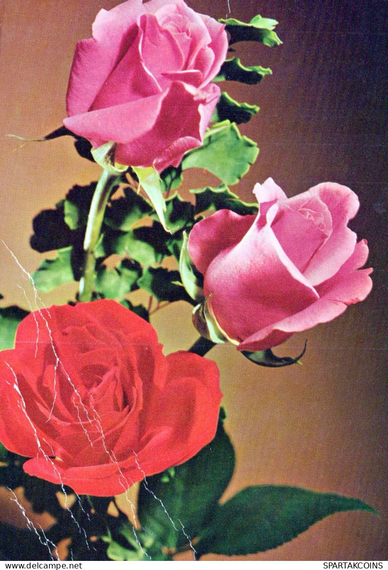 FLORES Vintage Tarjeta Postal CPSM #PAR967.ES - Flowers
