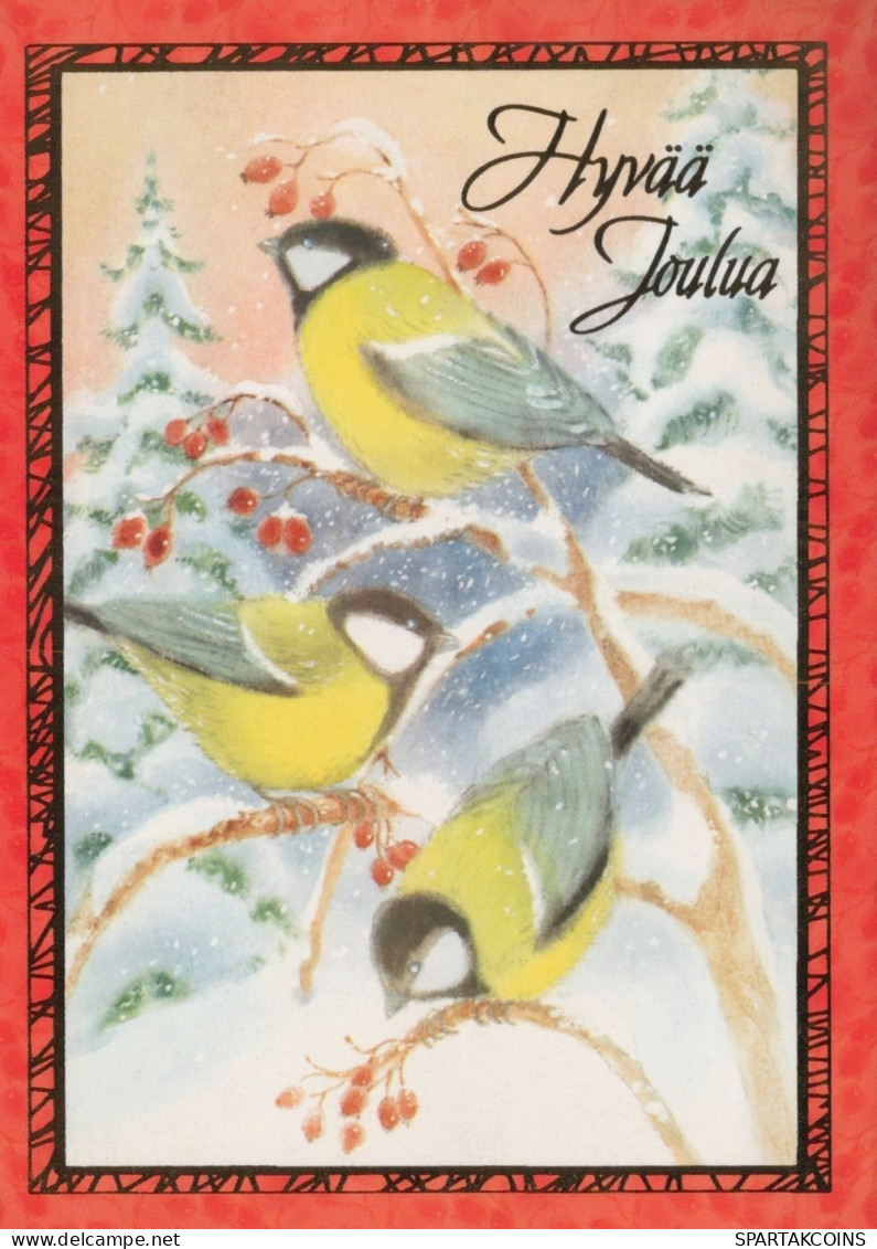 PÁJARO Animales Vintage Tarjeta Postal CPSM #PAM858.ES - Birds