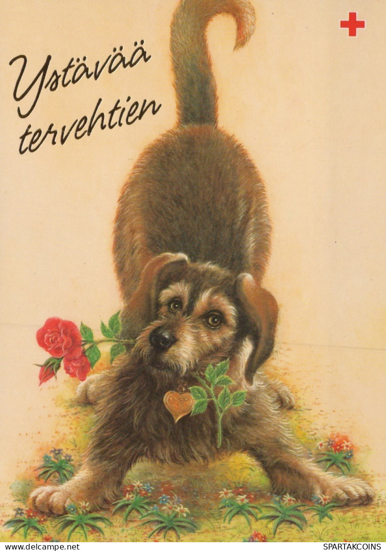 PERRO Animales Vintage Tarjeta Postal CPSM #PAN871.ES - Dogs