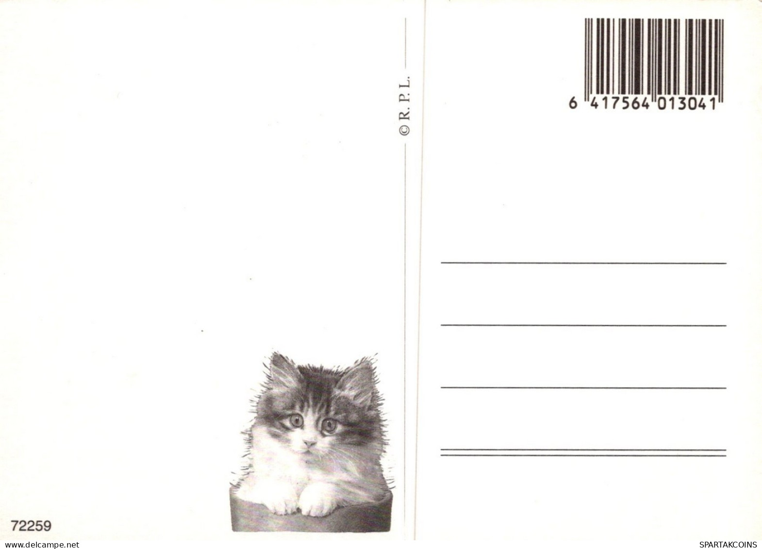 GATO GATITO Animales Vintage Tarjeta Postal CPSM Unposted #PAM354.ES - Katten