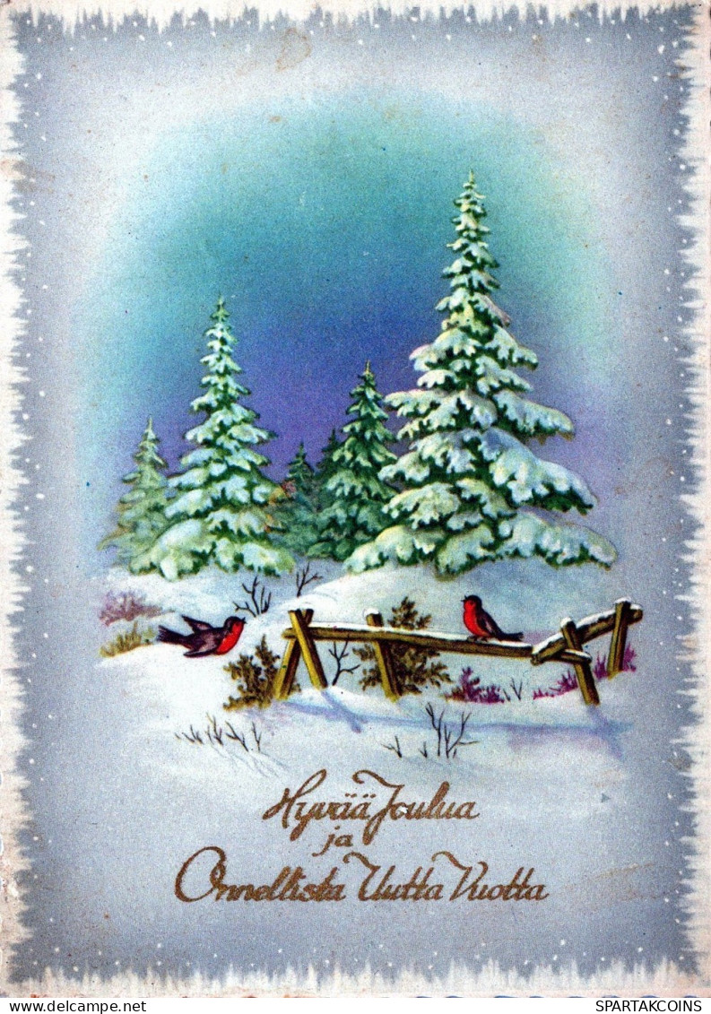 PÁJARO Animales Vintage Tarjeta Postal CPSM #PAM984.ES - Pájaros