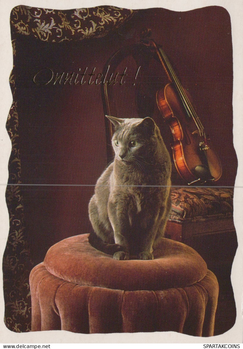 GATO GATITO Animales Vintage Tarjeta Postal CPSM #PAM168.ES - Katzen