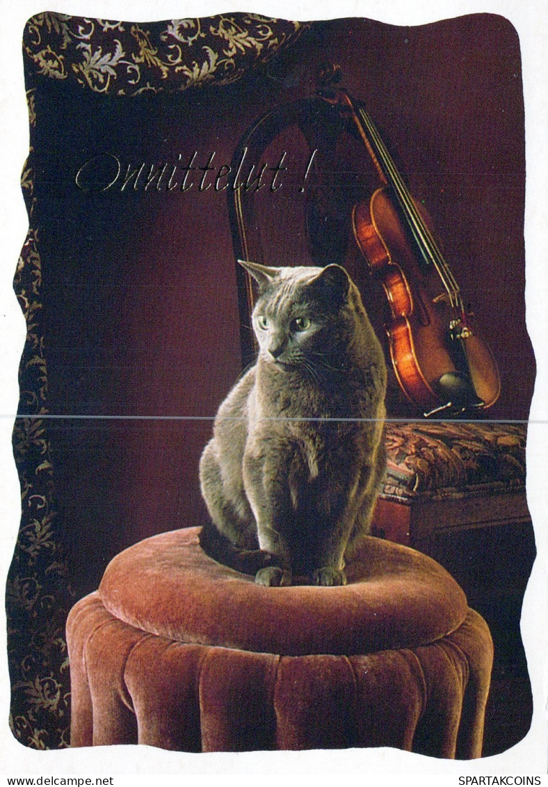 GATO GATITO Animales Vintage Tarjeta Postal CPSM #PAM168.ES - Katzen