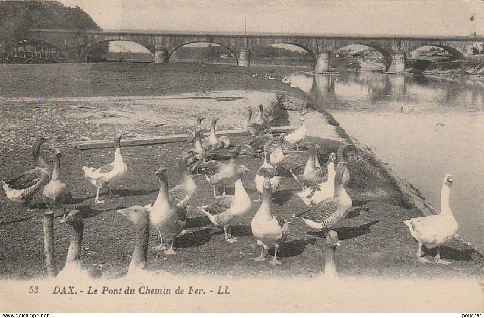 DE 24 -(40) DAX  - LE PONT DE CHEMIN DE FER  - OIES -  2 SCANS - Dax