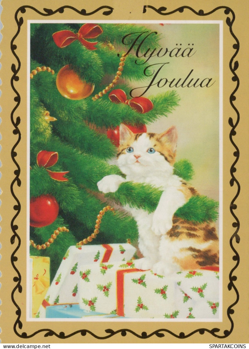 GATO GATITO Animales Vintage Tarjeta Postal CPSM #PAM481.ES - Cats
