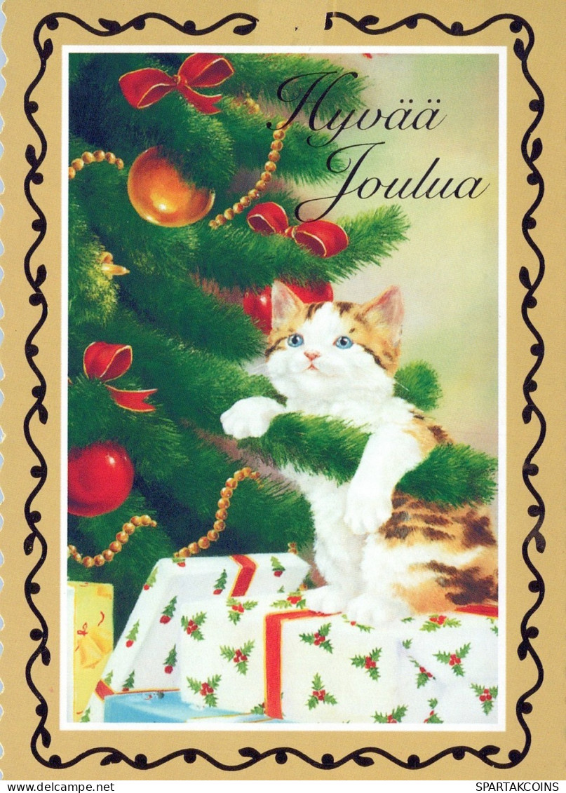 GATO GATITO Animales Vintage Tarjeta Postal CPSM #PAM481.ES - Katten