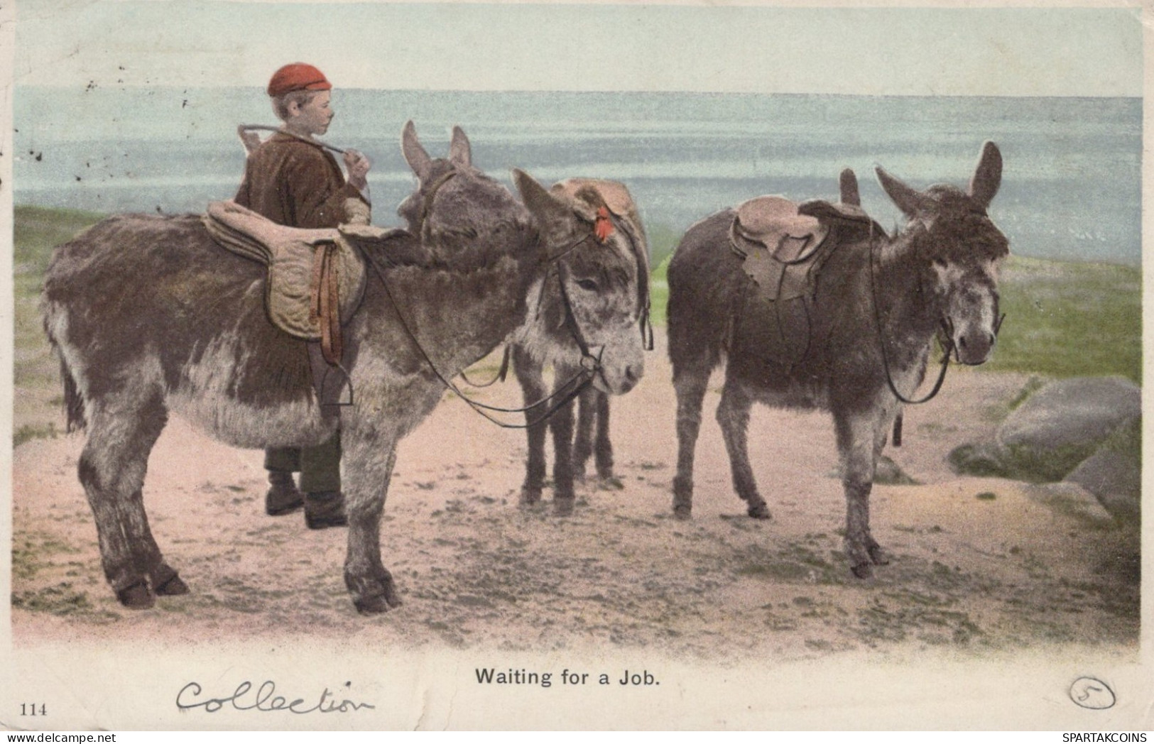 DONKEY Animals Children Vintage Antique Old CPA Postcard #PAA230.GB - Anes