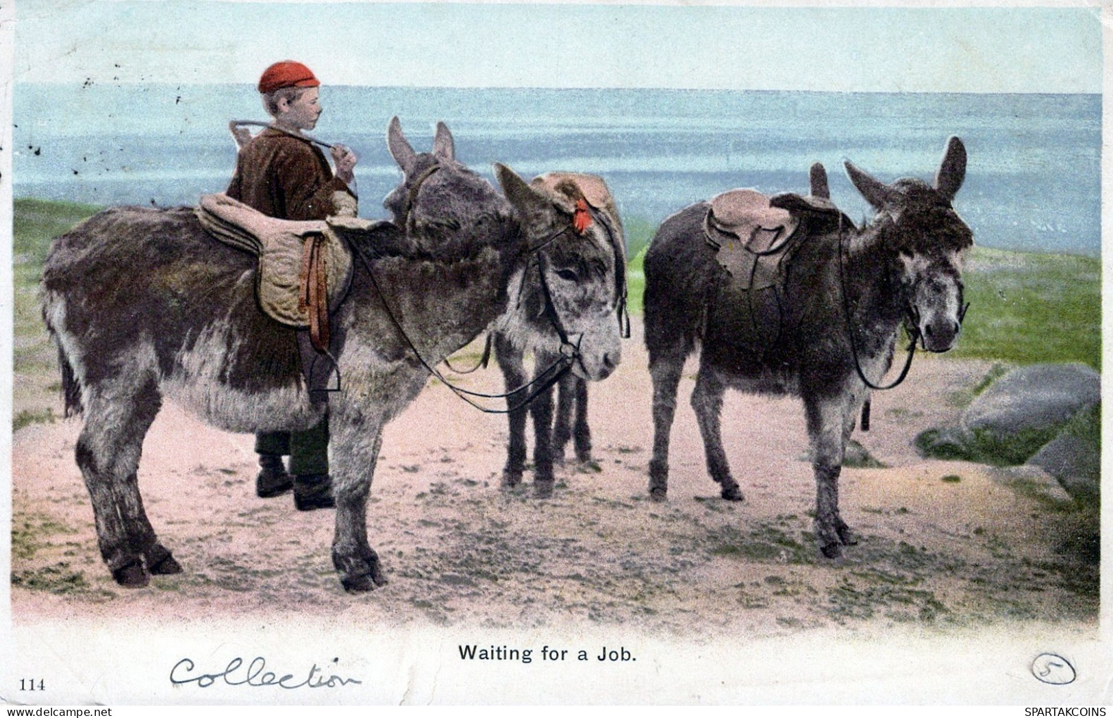 DONKEY Animals Children Vintage Antique Old CPA Postcard #PAA230.GB - Asino