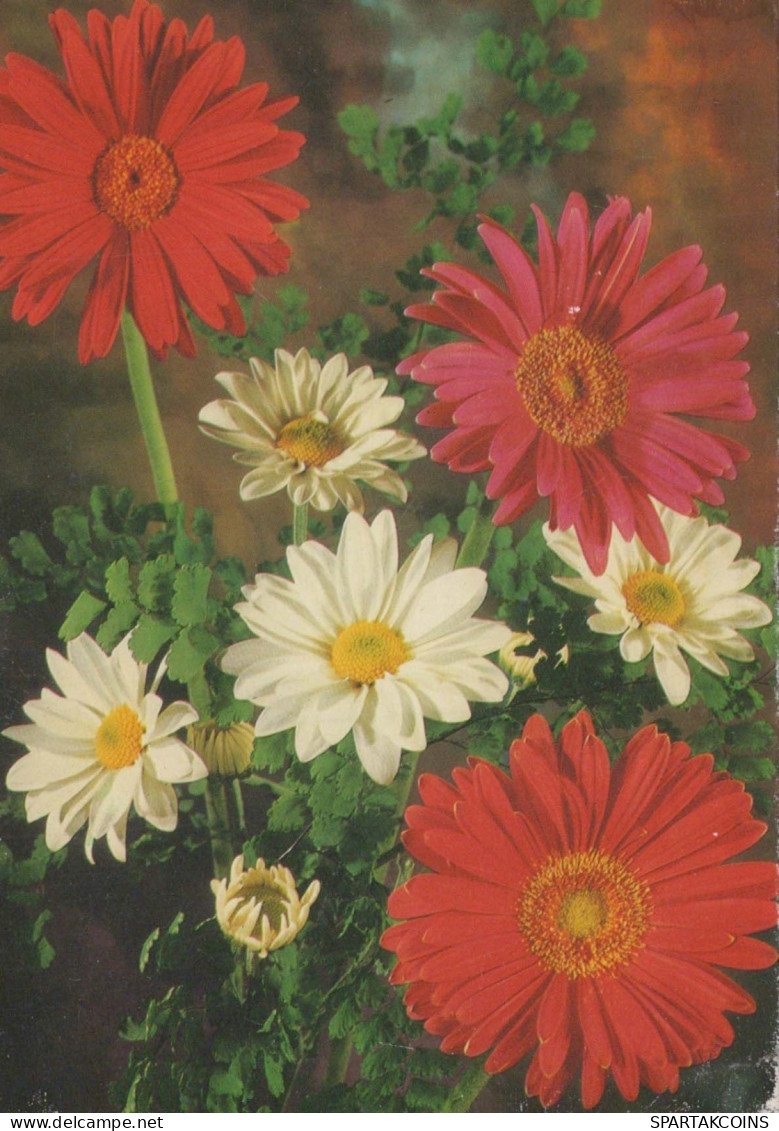 FLOWERS Vintage Postcard CPSM #PBZ434.GB - Blumen