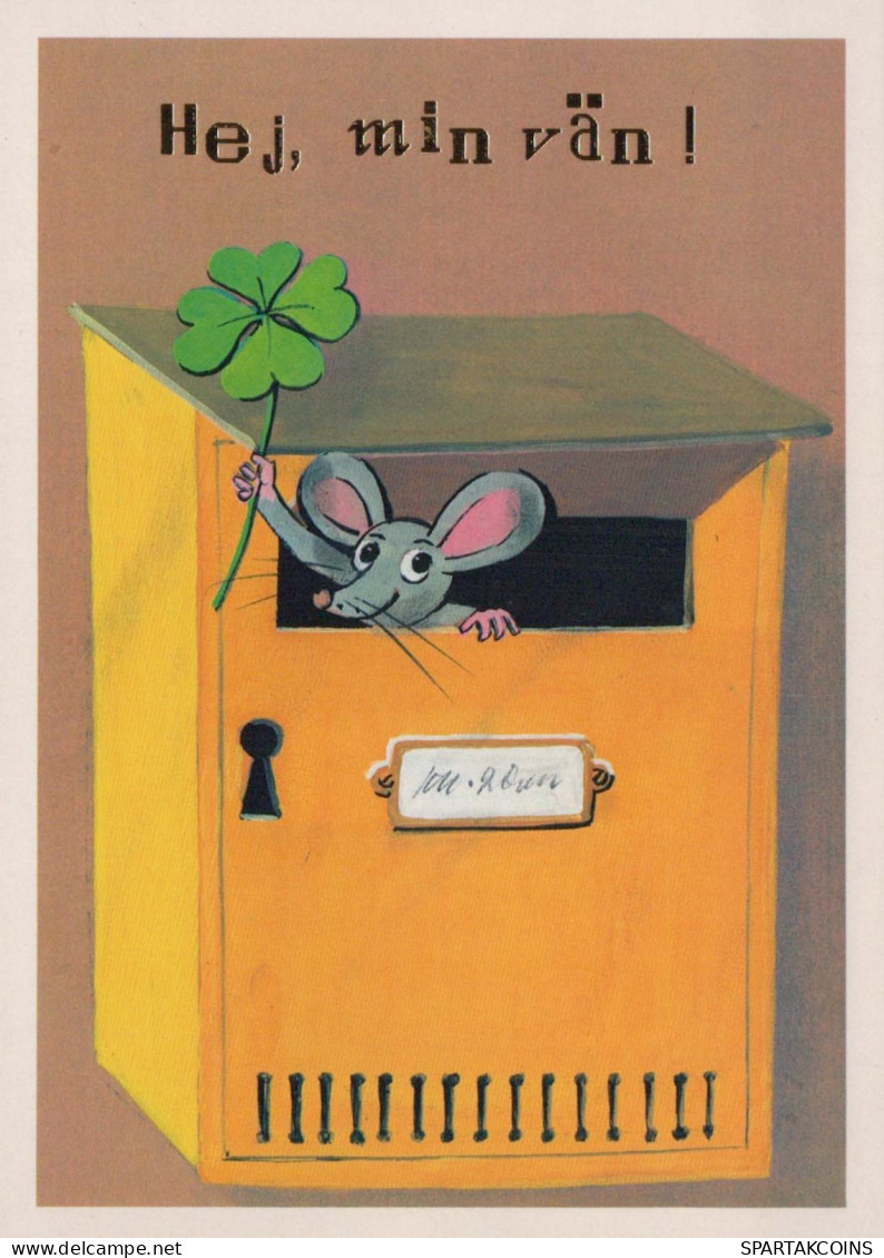 MOUSE Animals Vintage Postcard CPSM #PBR284.GB - Autres & Non Classés