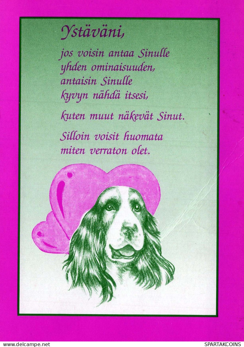 DOG Animals Vintage Postcard CPSM #PBQ437.GB - Dogs