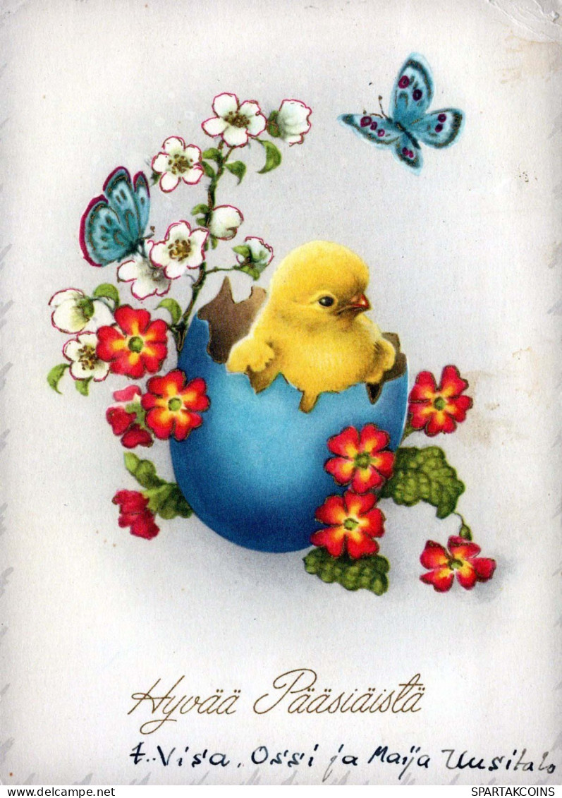 EASTER CHICKEN EGG Vintage Postcard CPSM #PBP223.GB - Ostern