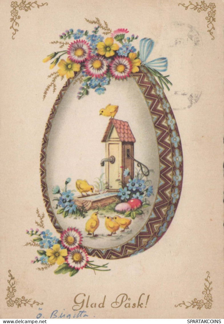 EASTER CHICKEN EGG Vintage Postcard CPSM #PBO848.GB - Easter