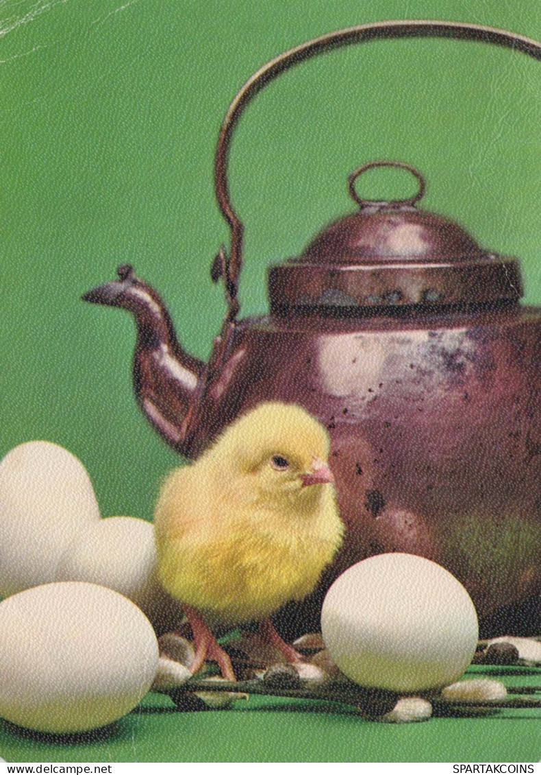EASTER CHICKEN EGG Vintage Postcard CPSM #PBP101.GB - Easter