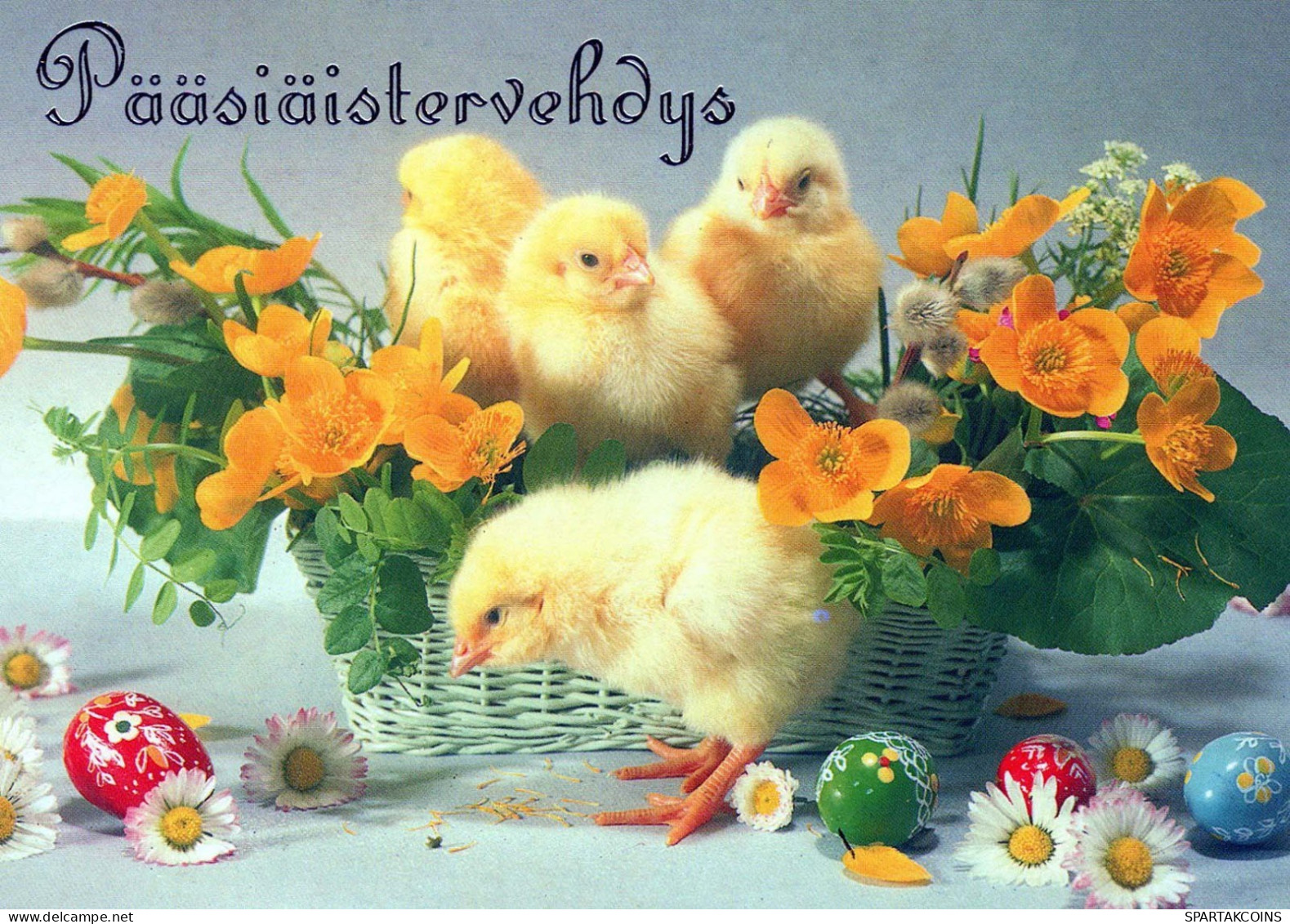 EASTER CHICKEN Vintage Postcard CPSM #PBO972.GB - Easter