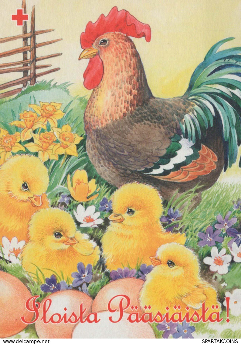 EASTER CHICKEN EGG Vintage Postcard CPSM #PBO783.GB - Ostern