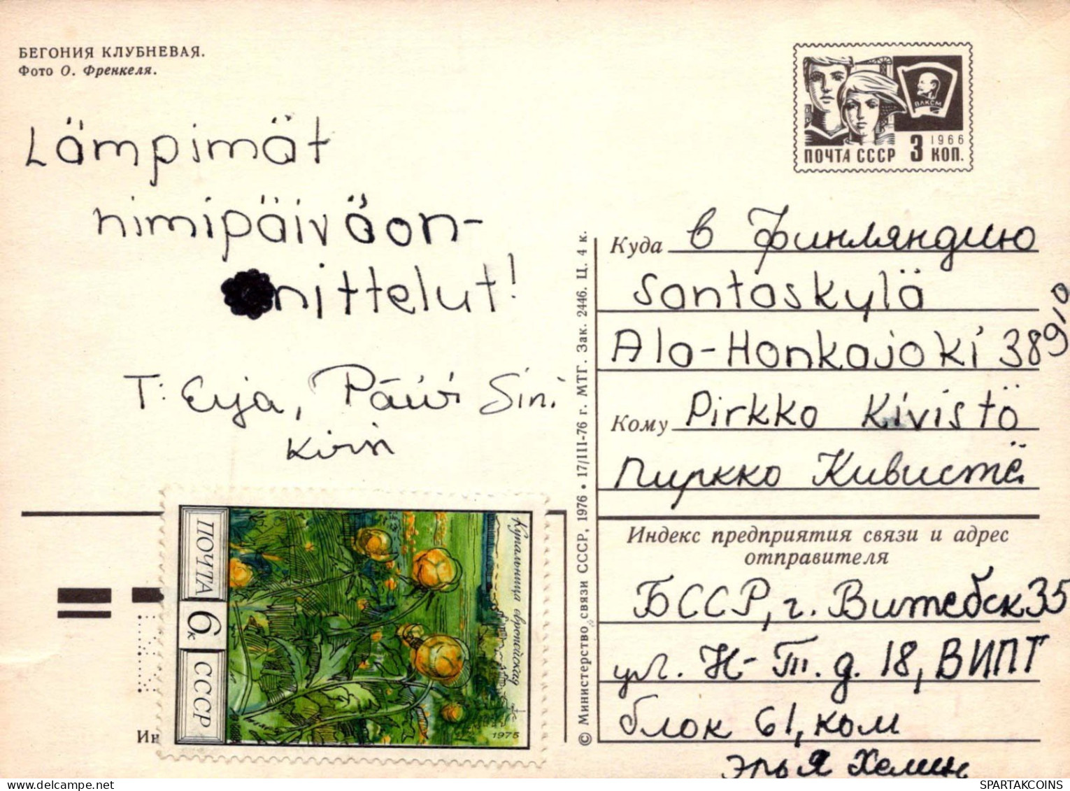 FLEURS Vintage Carte Postale CPSM #PAS572.FR - Blumen