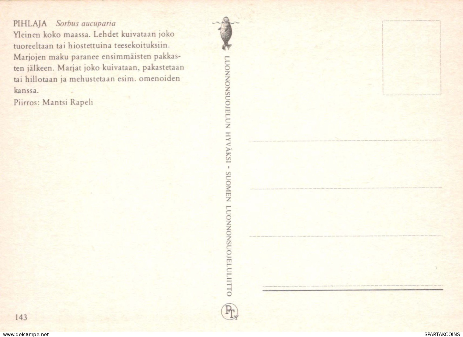 FLEURS Vintage Carte Postale CPSM #PAR548.FR - Blumen
