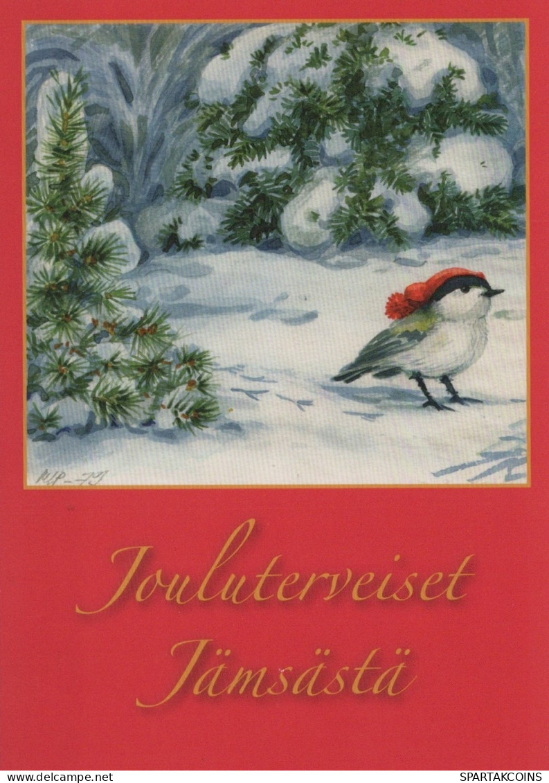 OISEAU Animaux Vintage Carte Postale CPSM #PAN047.FR - Birds