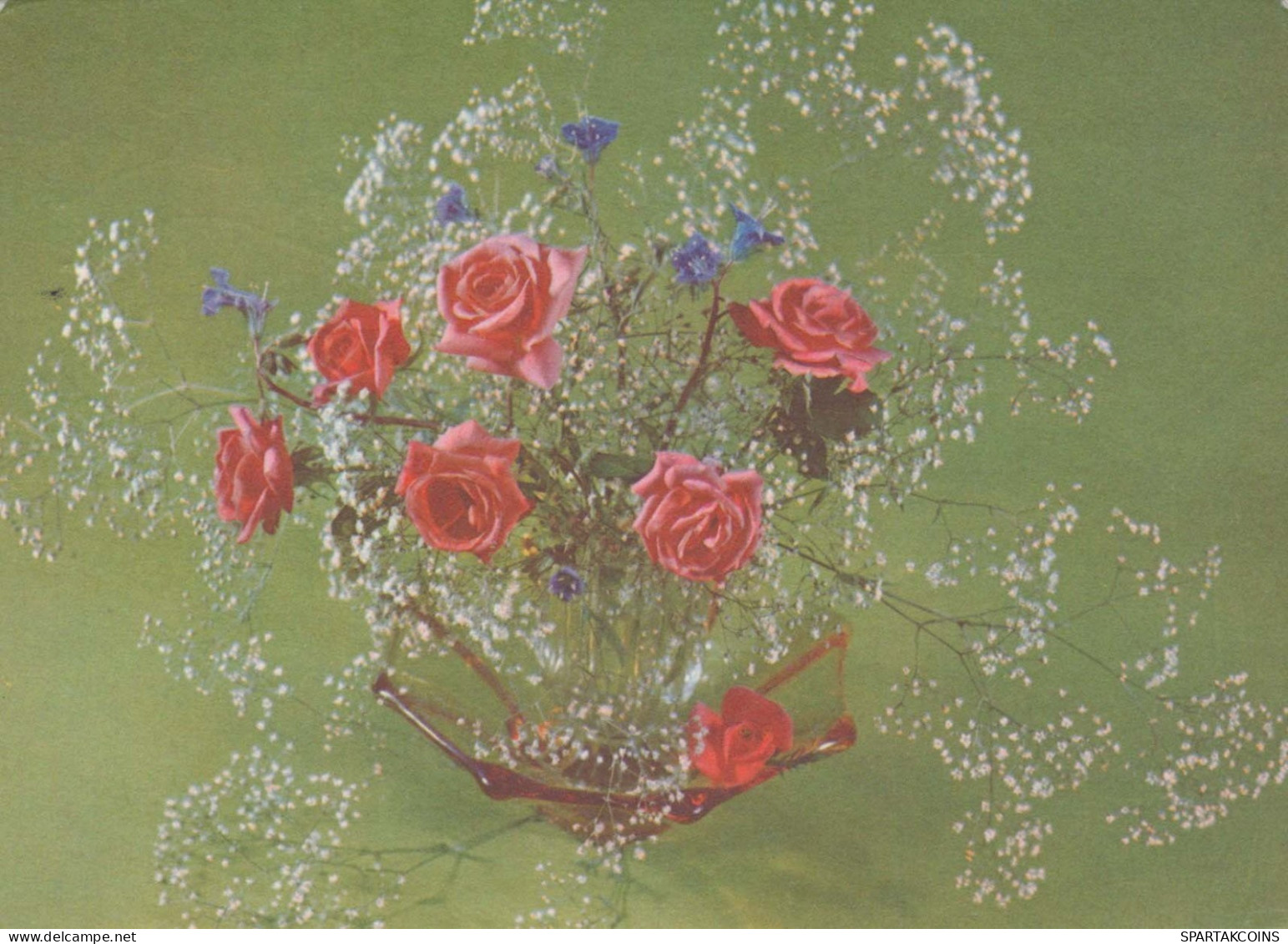 FLEURS Vintage Carte Postale CPSM #PAR428.FR - Flowers