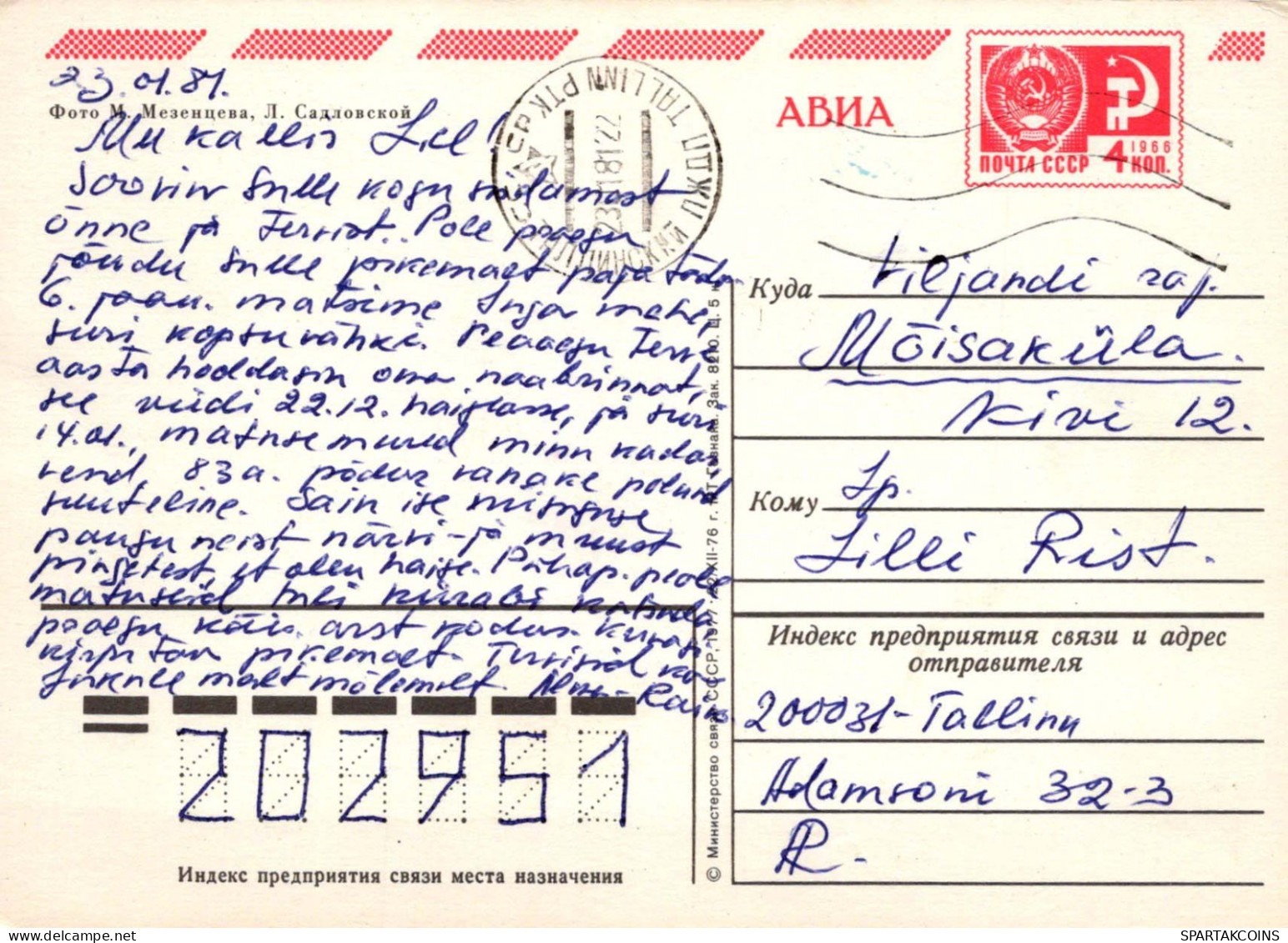 FLEURS Vintage Carte Postale CPSM #PAR428.FR - Blumen