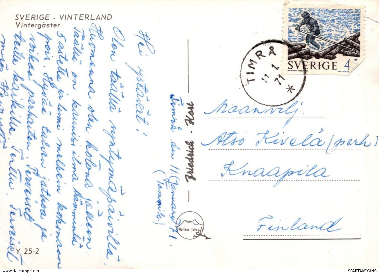 OISEAU Animaux Vintage Carte Postale CPSM #PAN231.FR - Birds