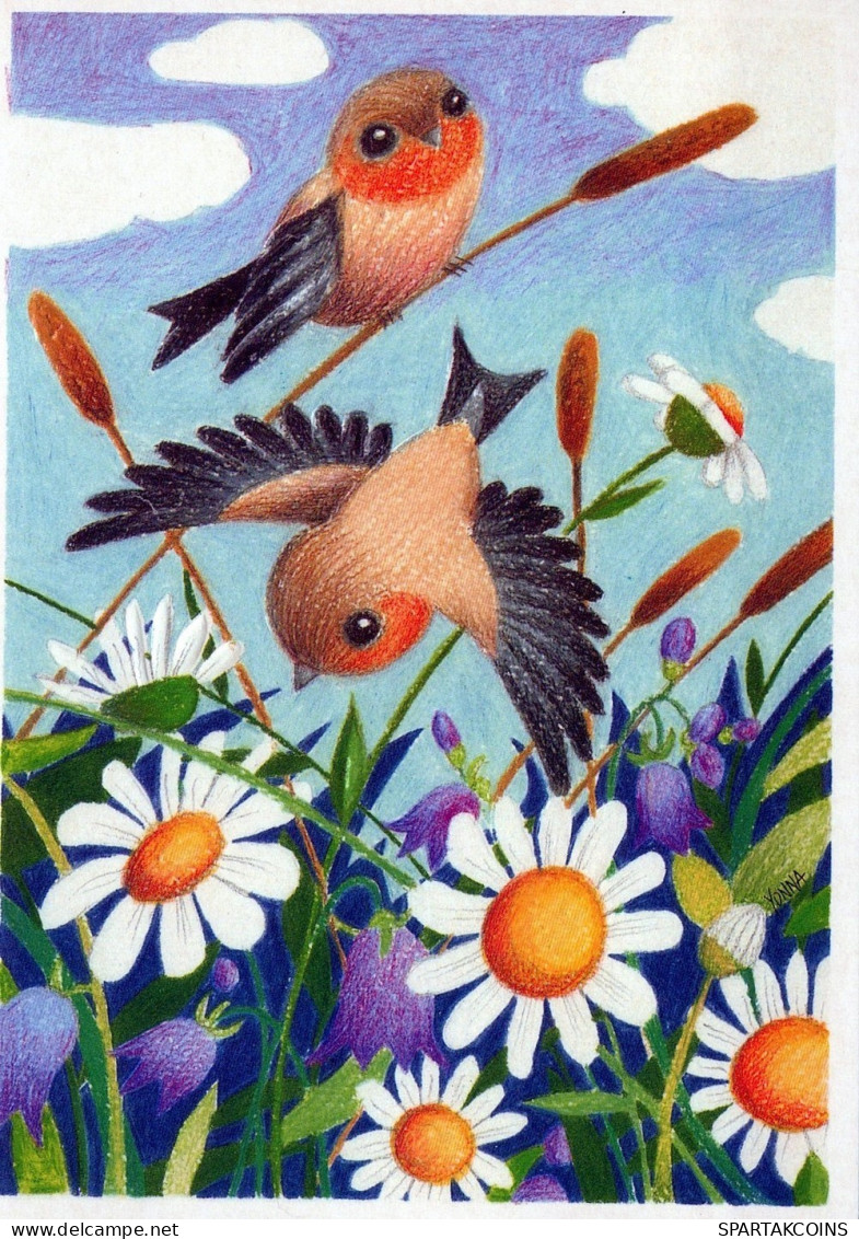 OISEAU Animaux Vintage Carte Postale CPSM #PAN168.FR - Birds