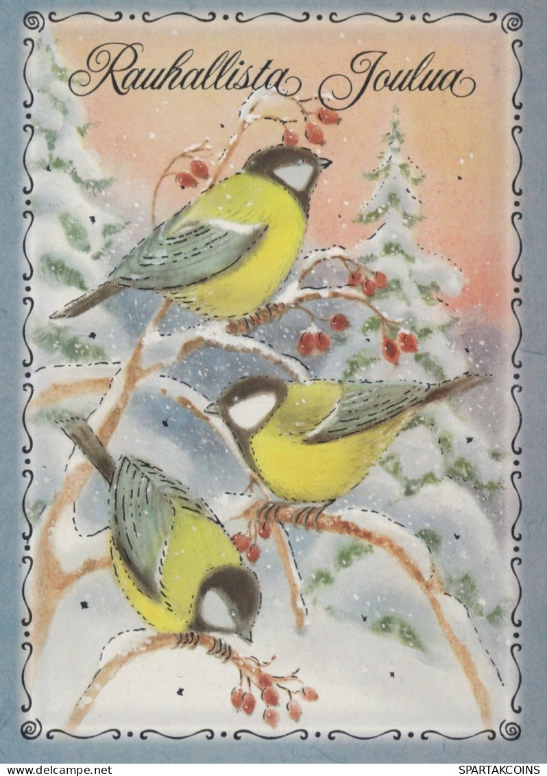 OISEAU Animaux Vintage Carte Postale CPSM #PAM859.FR - Pájaros