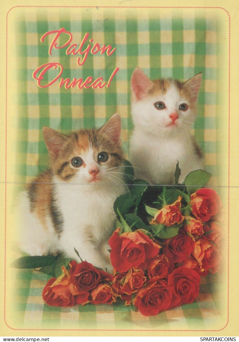 CHAT CHAT Animaux Vintage Carte Postale CPSM #PAM291.FR - Cats