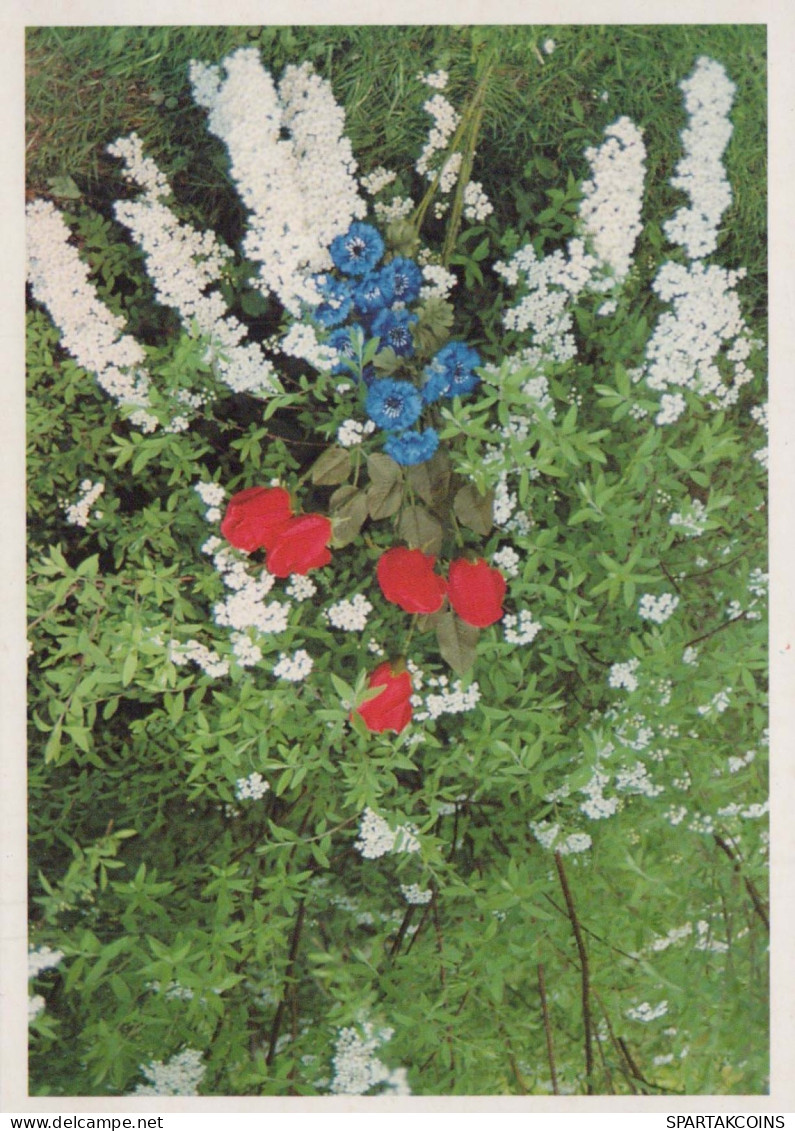 FLORES Vintage Tarjeta Postal CPSM #PBZ675.ES - Flowers