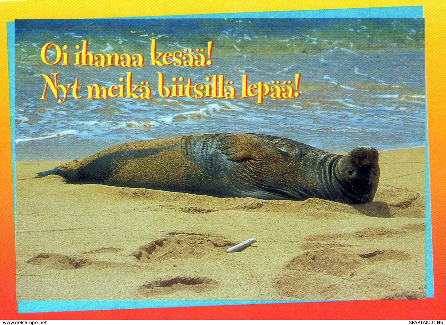 SELLO Animales Vintage Tarjeta Postal CPSM #PBS646.ES - Autres & Non Classés